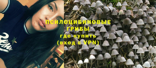 дживик Богданович