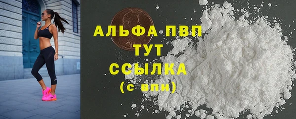 дживик Богданович