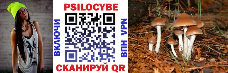 Псилоцибиновые грибы Cubensis мега как зайти Пестово